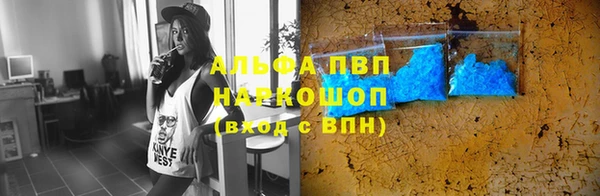 сатива Володарск